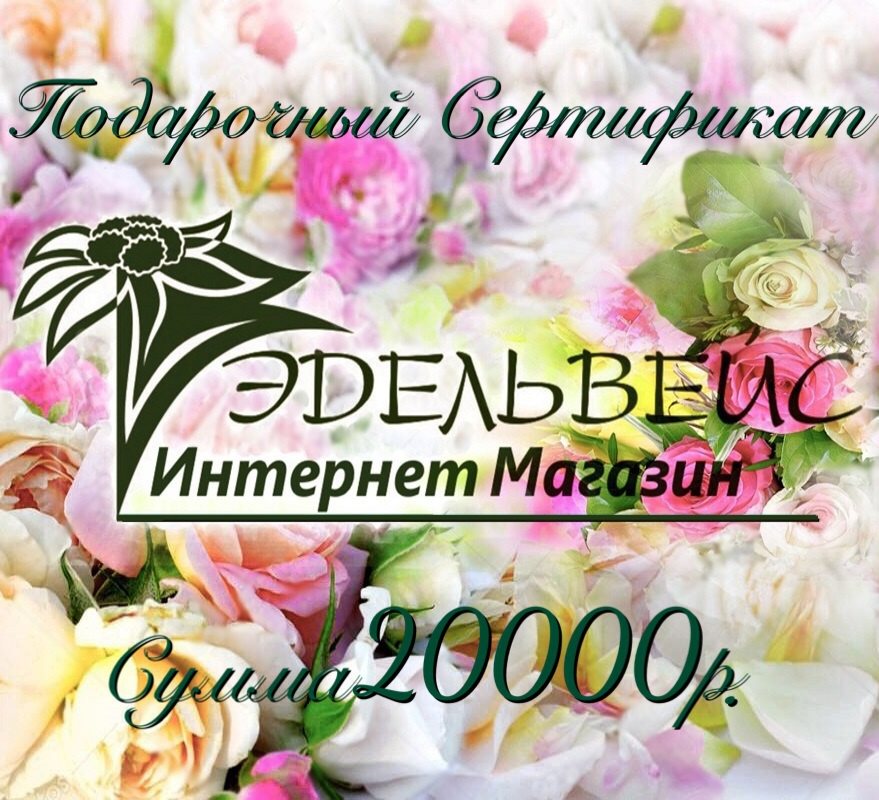 Подарочный Сертификат на 20000 рублей