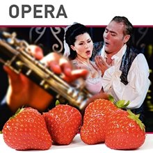 Земляника садовая Опера (среднеранняя)