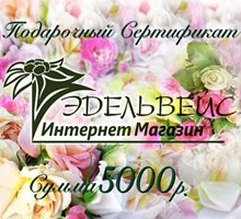 Подарочный Сертификат на 5000 рублей
