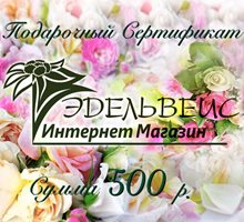 Подарочный Сертификат на 500 рублей